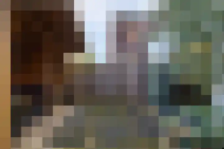 De Lede 24 Zetten thumbnail 62