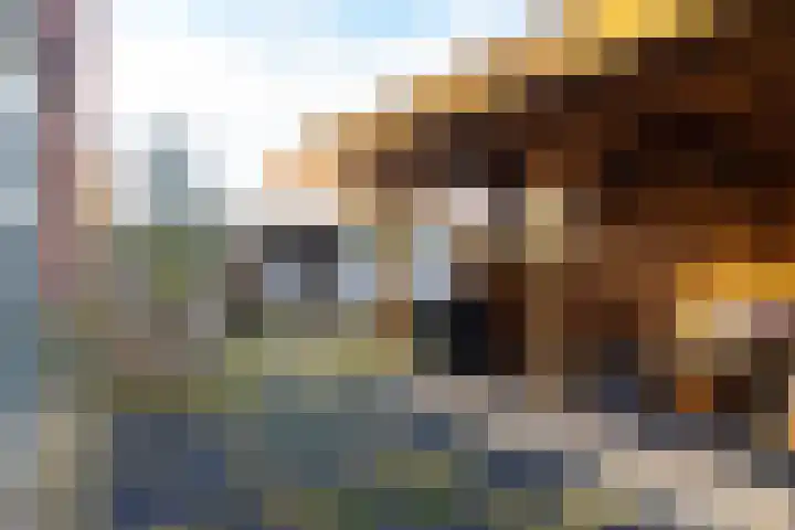 De Lede 24 Zetten thumbnail 68
