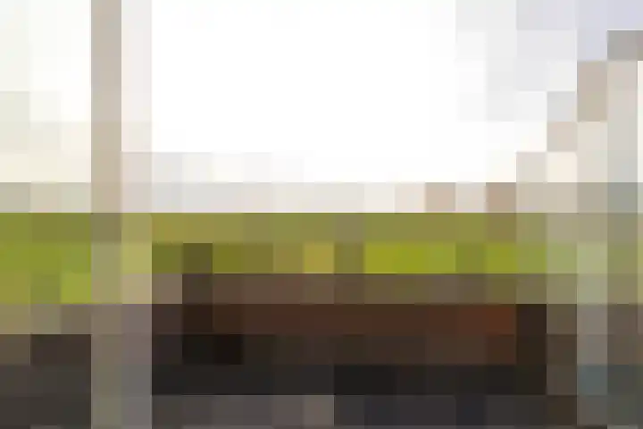 De Lede 24 Zetten thumbnail 7