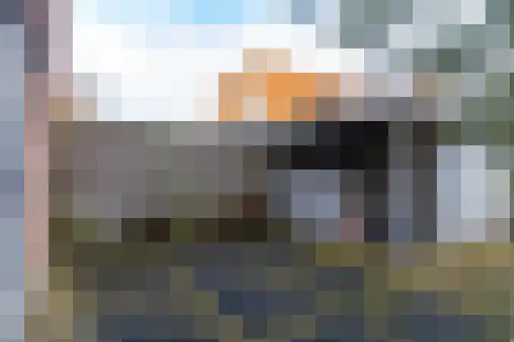 De Lede 24 Zetten thumbnail 71