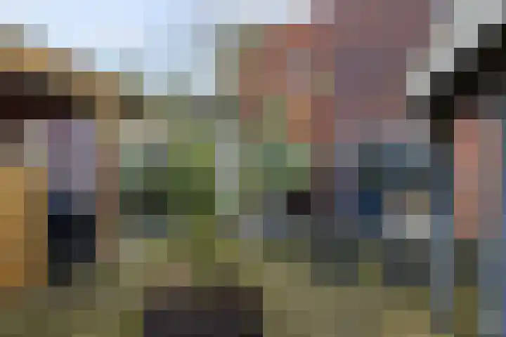 De Lede 24 Zetten thumbnail 73
