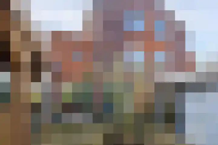 De Lede 24 Zetten thumbnail 74