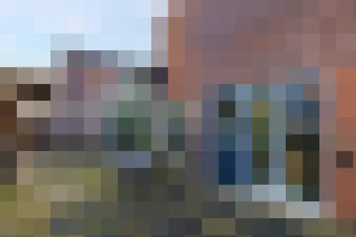 De Lede 24 Zetten thumbnail 75
