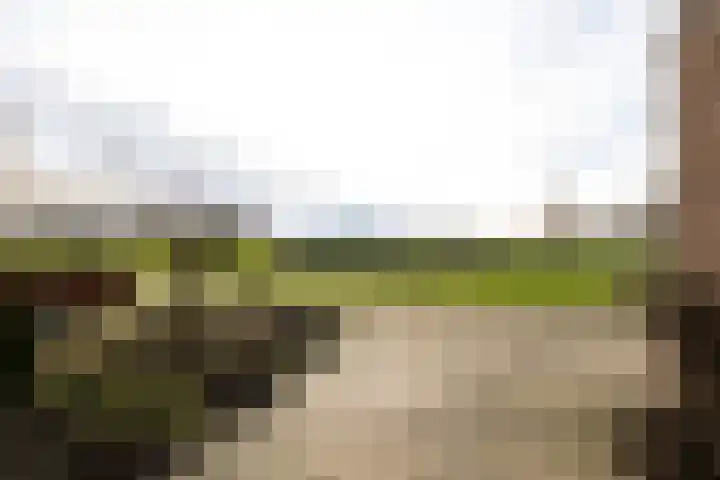 De Lede 24 Zetten thumbnail 76