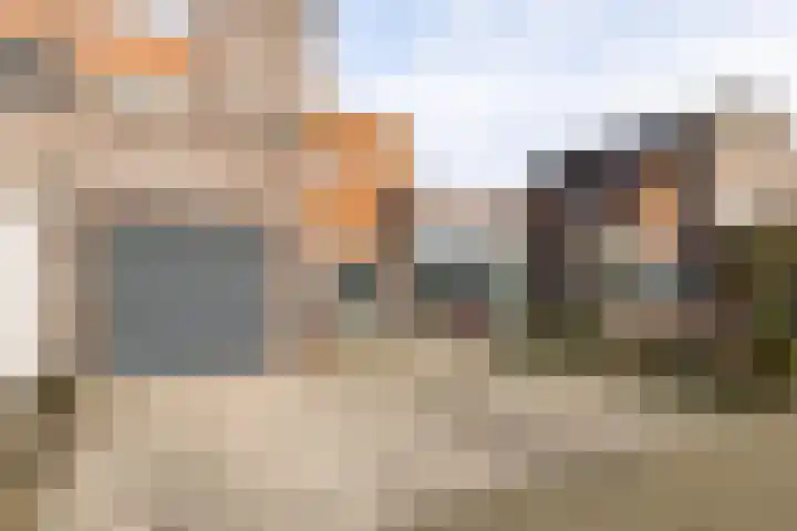 De Lede 24 Zetten thumbnail 77