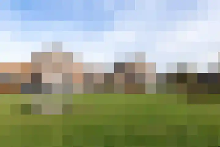 De Lede 24 Zetten thumbnail 80