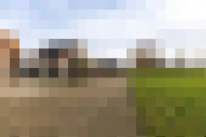 De Lede 24 Zetten thumbnail 82