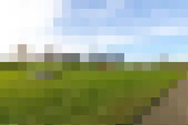 De Lede 24 Zetten thumbnail 83