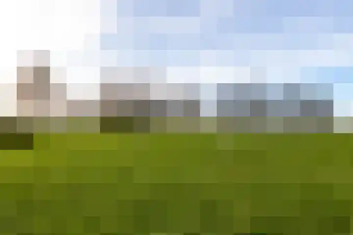 De Lede 24 Zetten thumbnail 85