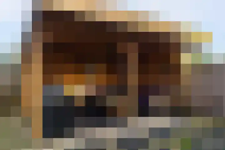 De Lede 24 Zetten thumbnail 9