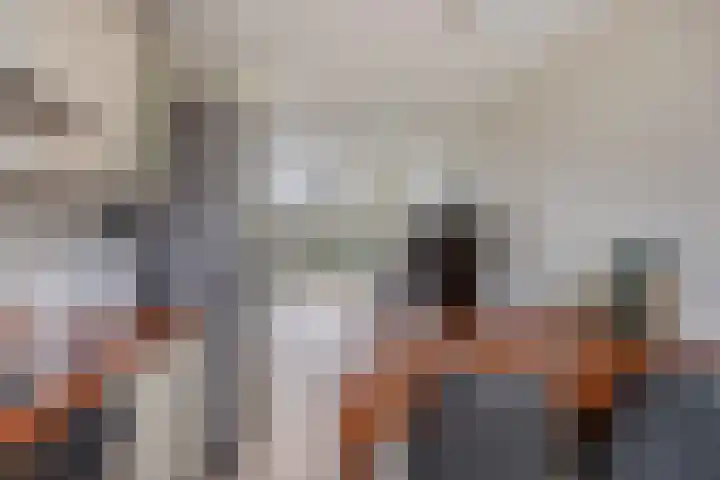 De Lede 4 Zetten thumbnail 16