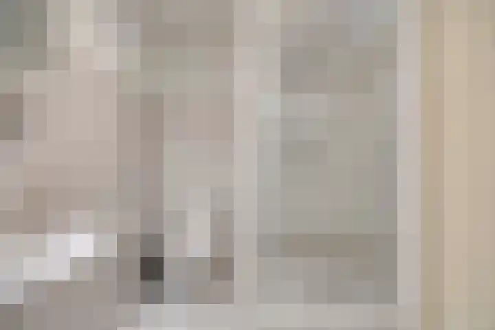 De Lede 4 Zetten thumbnail 24