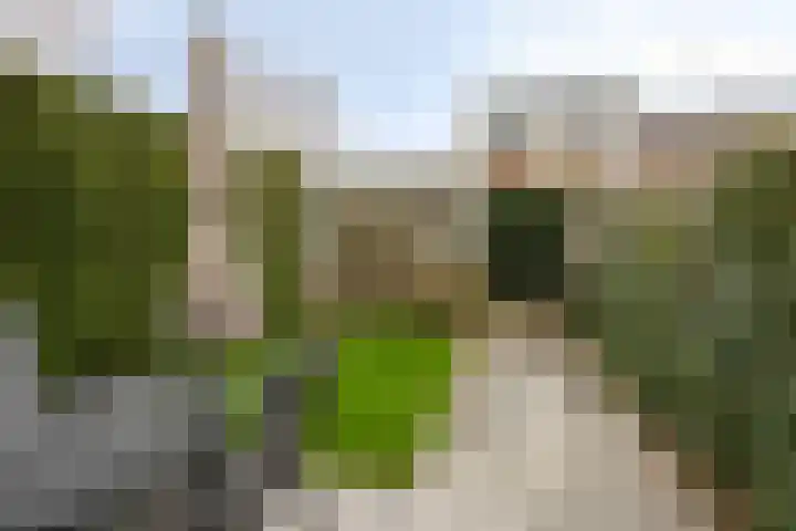 De Lede 4 Zetten thumbnail 29