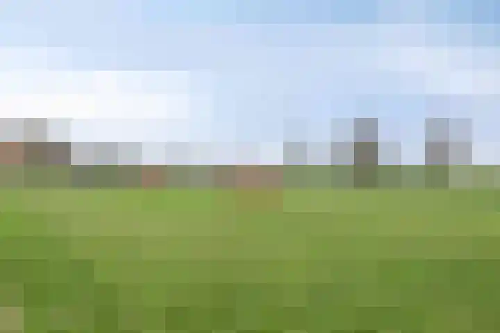 De Lede 4 Zetten thumbnail 33