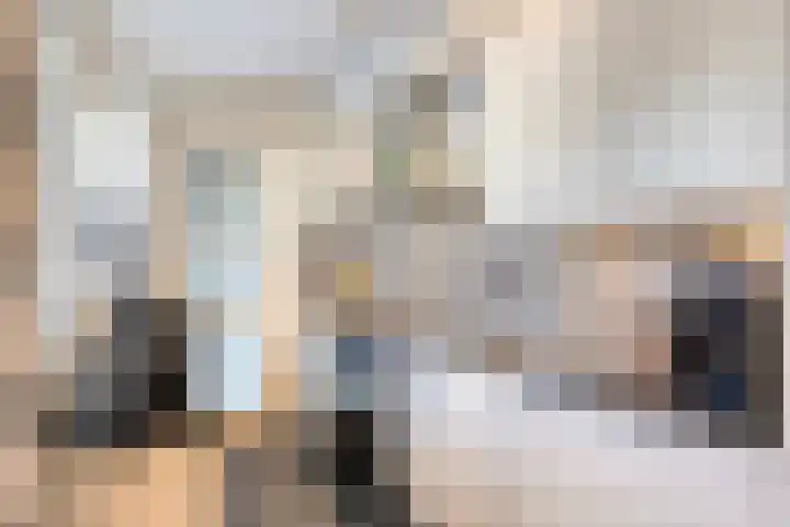 de Leegte 3 Epe thumbnail 14