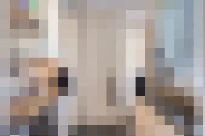 de Leegte 3 Epe thumbnail 16