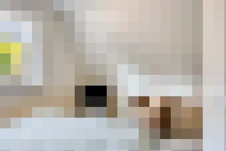 de Leegte 3 Epe thumbnail 22