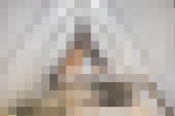 de Leegte 3 Epe thumbnail 32