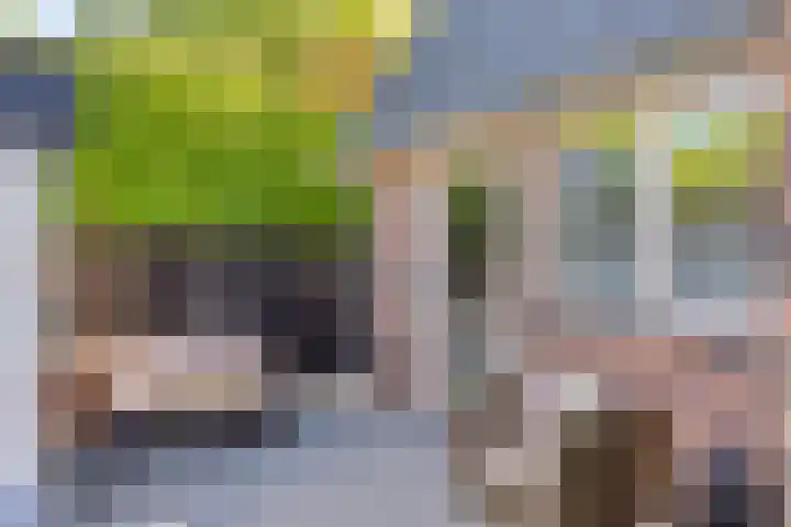 de Leegte 3 Epe thumbnail 33