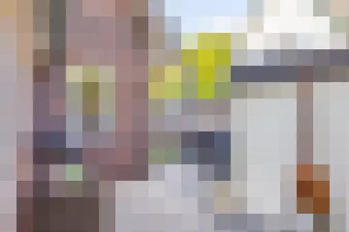 de Leegte 3 Epe thumbnail 36