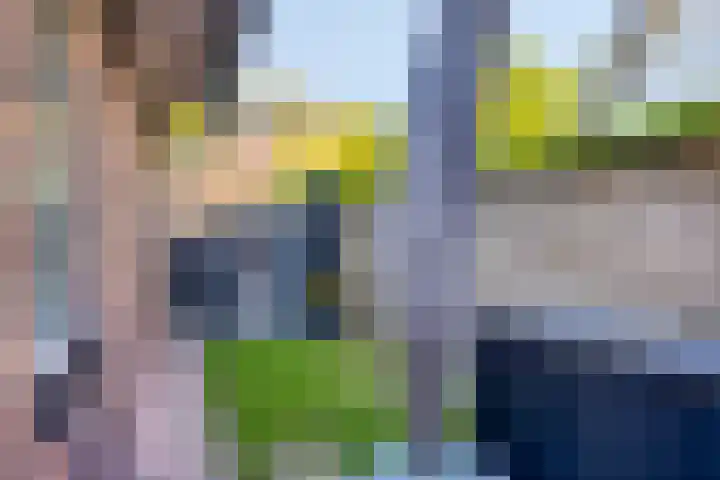 de Leegte 3 Epe thumbnail 37