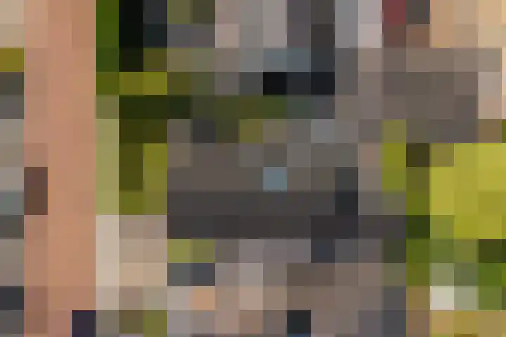 de Leegte 3 Epe thumbnail 39