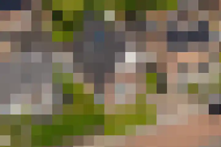 de Leegte 3 Epe thumbnail 4