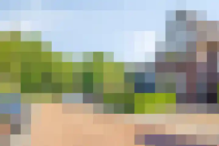 de Leegte 3 Epe thumbnail 42