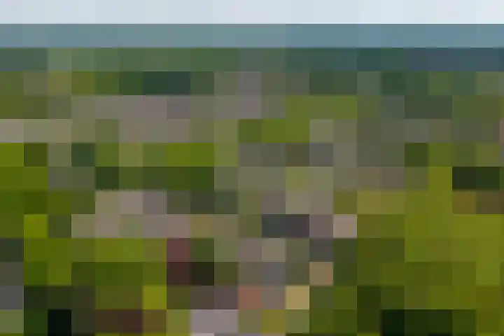 de Leegte 3 Epe thumbnail 43
