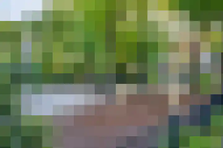de Leegte 3 Epe thumbnail 44