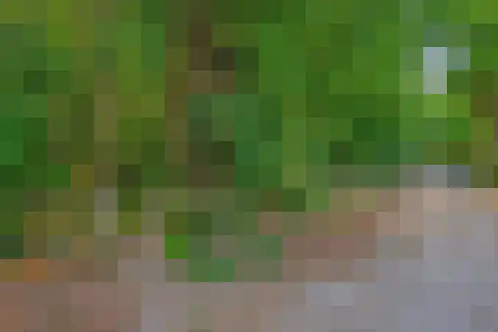 de Leegte 3 Epe thumbnail 45