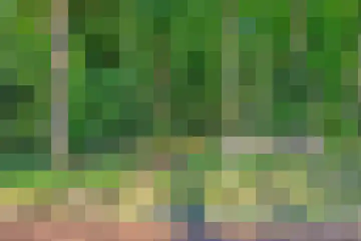 de Leegte 3 Epe thumbnail 46
