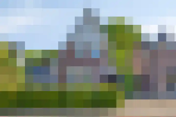 de Leegte 3 Epe thumbnail 5