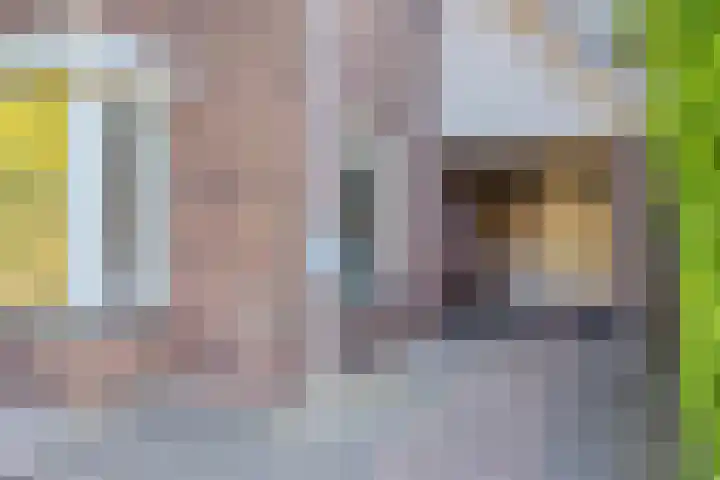 de Leegte 3 Epe thumbnail 6