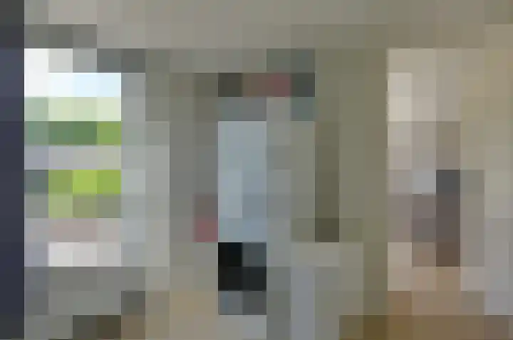 De Leek 14 B Beilen thumbnail 17