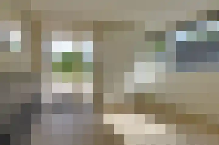 De Leek 14 B Beilen thumbnail 20