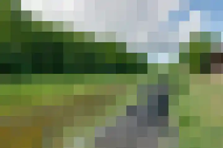 De Leek 14 B Beilen thumbnail 42