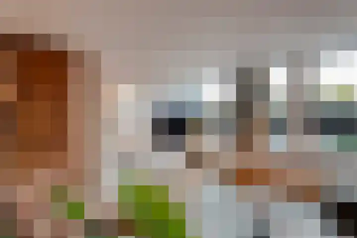 De Leek 16 A Beilen thumbnail 14