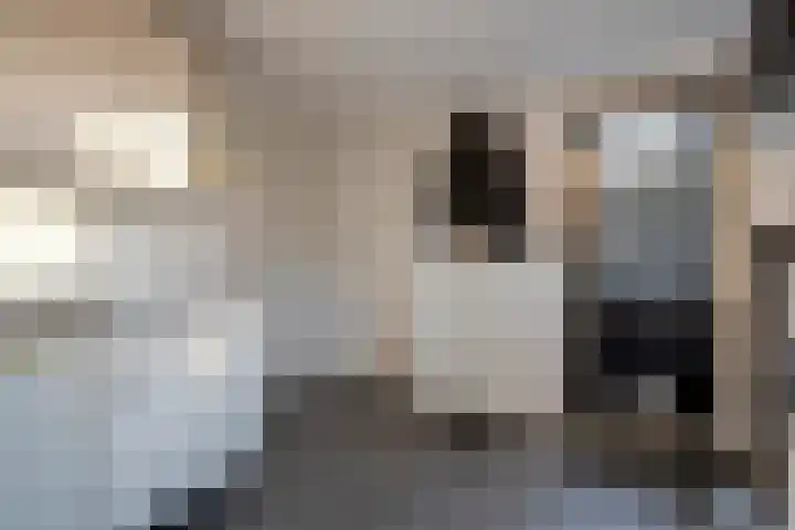 De Leek 16 A Beilen thumbnail 36