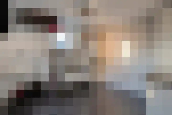 De Leek 16 A Beilen thumbnail 37