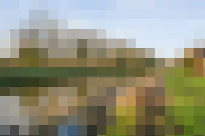 De Leek 16 A Beilen thumbnail 4