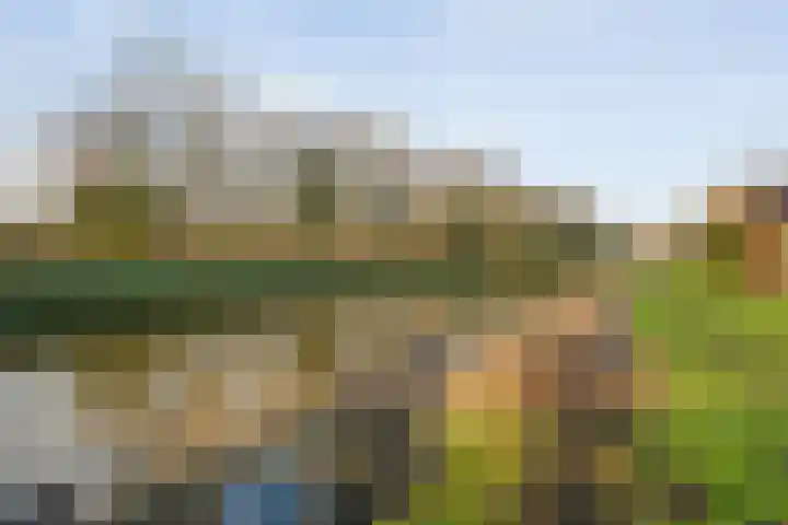De Leek 16 A Beilen thumbnail 49