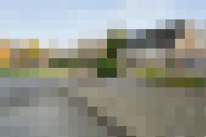 De Leek 16 A Beilen thumbnail 6