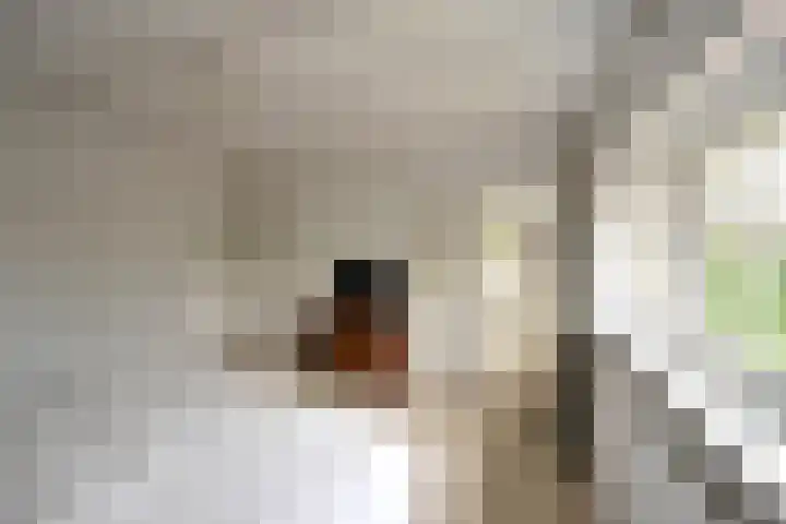 De Leemkuil 11 Laren thumbnail 16