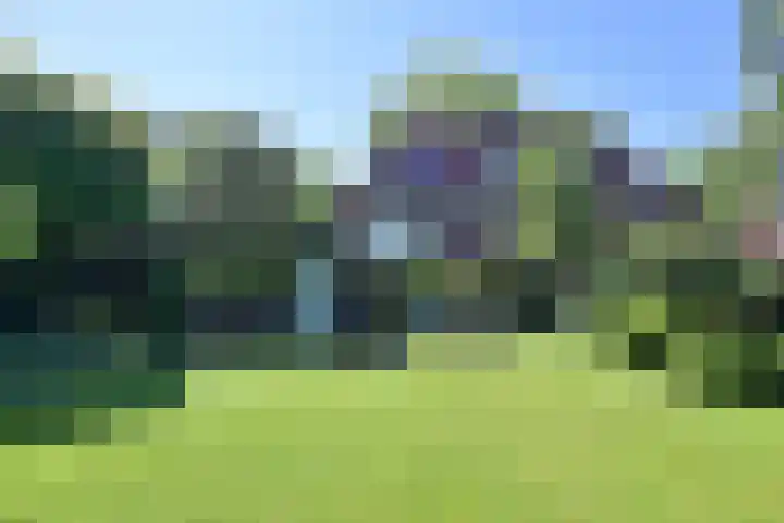 De Leemkuil 11 Laren thumbnail 23