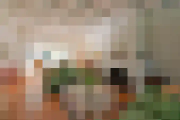 De Leemkuil 11 Laren thumbnail 4