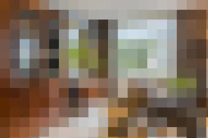 de Leemput 25 Halsteren thumbnail 11