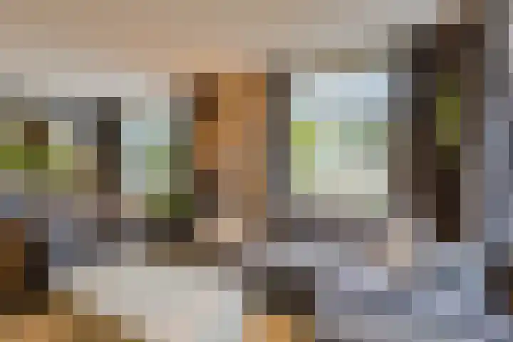 de Leemput 25 Halsteren thumbnail 13