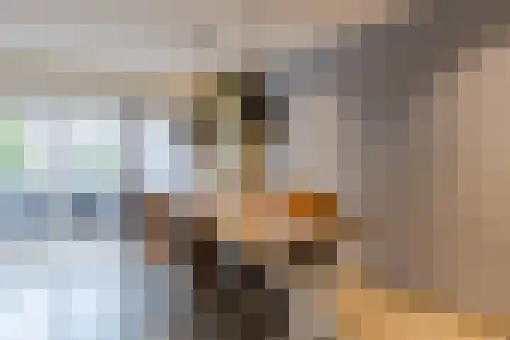 de Leemput 25 Halsteren thumbnail 14