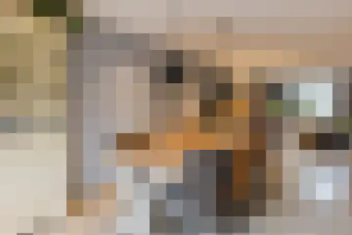 de Leemput 25 Halsteren thumbnail 17